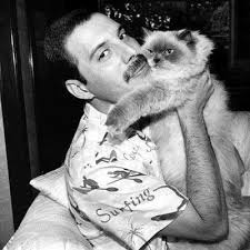 Stephania Salamanca (@SGStephania)