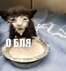 Мем О бля №273328