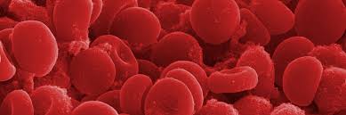 Jul 08, 2011 · a red blood cell is an animal cell, not a plant cell because plants don't have blood. Blood Cells Basic Biology