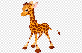 A set of big isolated illustrated animal holding a blank plank of wood, hand drawn style. Giraffe Cartoon Drawing Animated Giraffe S Mammal Poster Wildlife Png Pngwing