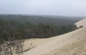 Les grandes landes de gascogne: La Foret Des Landes De Gascogne Royaume Du Pin Maritime Jardins De France