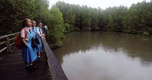 V hotel is an ideal starting point for visiting kota kinabalu wetland ramsar site.shopping centres and a market are also set close by. Sabah Striving To Attain 3rd Ramsar Status With Klias Wetlands