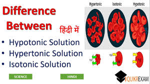 Check spelling or type a new query. Isotonic Solution Definition In Hindi