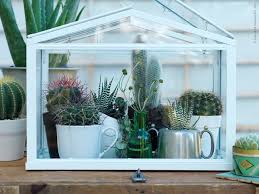 Elle comprend un système de ventilation spécifique avec aérateurs réglables sur le couvercle et entrées d'air latérales. Ma Serre D Interieur Ma Plante Mon Bonheur