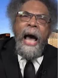 Morgan Whitehead Wilson Mc