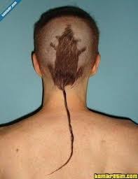 Sac Kuyruk Modelleri Erkek Ile Ilgili Gorsel Sonucu Haircut Funny Rat Tail Haircut Bad Haircut