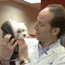 Vca Canada Willowdale Animal Hospital Accepting New Clients