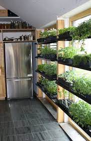 5 Amazing Indoor Garden Design Ideas To Perfect Your Kitchen Herb Garden In Kitchen Indoor Vegetable Gardening Vegetable Garden For Beginners