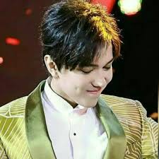 Dimples and their uniqueness