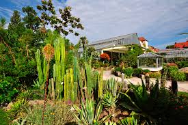 Check spelling or type a new query. Botanischer Garten Der Universitat Erlangen Nurnberg Parks Und Garten
