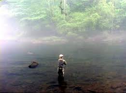 Fly Fishing The Smith River Virginia For Trout