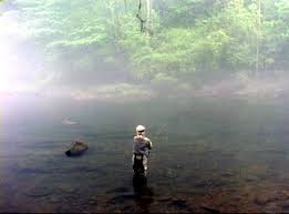 fly fishing the smith river virginia for trout