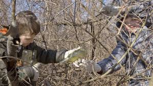 Hundreds of volunteers turn out for Presque Isle cleanup