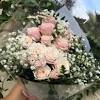 Not only do the tiny blooms provide lovely, delicate filler for more intricate floral arrangements and bouquets; Https Encrypted Tbn0 Gstatic Com Images Q Tbn And9gcqhrlphqgvl9eazxirgihkscxzttxylmahq2b5epcubkxgvgtpx Usqp Cau