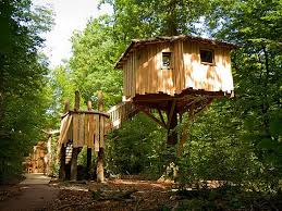 Cabane Des Tourtereaux 2 Pers Parc De Sainte Croix Hebergement Insolite Cabane Dans Les Arbres Cabane