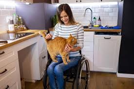 While it may seem harmless and even endearing to true cat lovers, cats on your counter top is actually kind of gross. 5 Simple Tips To Keep Cats Off Of Counters All About Cats