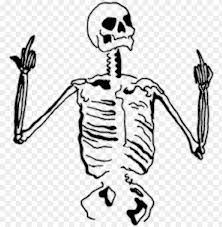 We did not find results for: Sticker By Olivercute Skeleton Middle Finger Drawi Png Image With Transparent Background Toppng