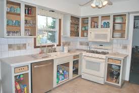 kitchen cabinet ideas open face lower