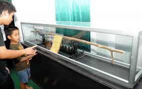 Masih ingat kisah lengkap tentang tongkat nabi musa as yang bisa berubah jadi ular dan membelah lautan? Tongkat Nabi Musa As Foto 1 1195 Tribunnews Com Mobile