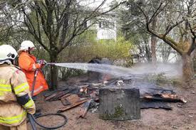 Wir bieten lohnschnitt und den handel mit eichenholz aus zertifizierter und nachhaltiger. Orftvu8adkcvom