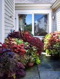 Cut your sweet potatoes in half lengthwise and lay the pieces cut side down in aluminum cake plates (or any low shallow pan) filled with moist peat interesting idea! 10 Garden Ideas To Steal From Provincetown On Cape Cod Gardenista