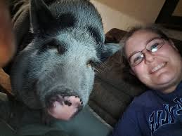 Ramps placed side by side designed for a super cub. In Minoqua, WI area.  Any interest?