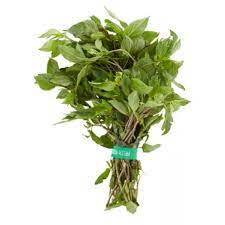 What does selasih mean in english? Daun Selasih 100g Pkt Buy Sell Online Fresh Herbs Spices With Cheap Price Lazada