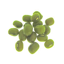 Check out our sprouts natural selection for the very best in unique or custom, handmade pieces from our shops. Mung Bean Sprouts Are Full Of Natural Green Protein Vitamins And Minerals