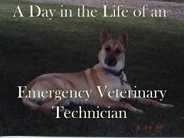 Quotes on technology & engineering. A Day In The Life Of A Veterinary Professional Cronin S Castle Vet Tech Quotes Vet Medicine Vet Technician