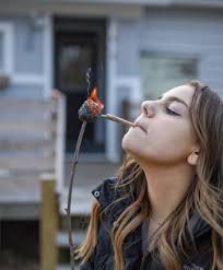 NORTH COAST PROVISIONS CANNABIS DISPENSARY