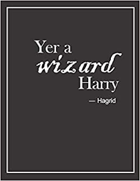 Fanworksyer a wizard, harry. (i.redd.it). Harry Potter Hagrid Inspired Quote Notebook Journal Exercise Book Notebooks Happy Turtle 9781675708293 Amazon Com Books