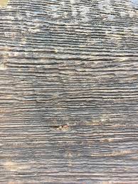 Check spelling or type a new query. Free Wood Texture Free Textures