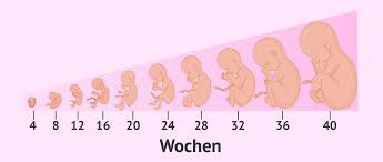 Grundsätzlich ist es möglich, dass sich erste anzeichen schon sehr früh, also kurz nach dem erfolgreichen befruchten der eizelle durch das spermium, bemerkbar machen. Welche Schwangerschaftssymptome Treten Wahrend Der 9 Monate Auf