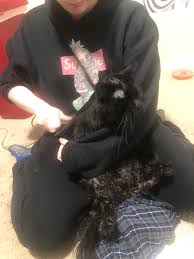 Has anybody has seen our Winnie,she's been missing since 430pm yesterday.  Near Harrop and Harrison-Ogden. She's very timid. Thank you!😭