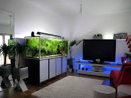 Beli aquarium ikan laut hias online berkualitas dengan harga murah terbaru 2021 di tokopedia! 26 Ide Aquarium Ikan Hias Aquarium Ikan Perhiasan Minimalis Aquarium