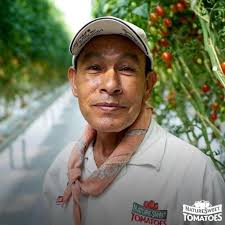 Omar A. Salas Castillo