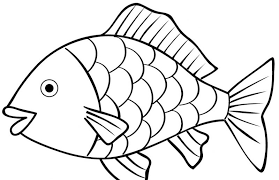 How to draw a fish / cara menggambar ikan don't forget to subscribe, like, comment and share, because subscribing is free. 9 Sketsa Gambar Ikan Hias Dan Ikan Konsumsi Yang Mudah Dibuat