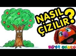 Agac Nasil Cizilir Elma Agaci Cocuklar Icin Resim Cizme Ruya Okulu Youtube Okul Resim Elmalar