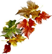 Epingle Par Vinicius Machacheski Marchi Sur 00 Nature Philtre Noel Tatouage Feuillage Feuille Automne Feuille Arbre