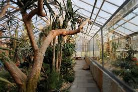 The travel channel cites abq biopark botanic garden as one of the top 12 in the country! Botanischer Garten Dresden 5 Dinge Die Du Noch Nicht Wusstest So Lebt Dresden