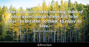 Marcus Aurelius When You Arise In The Morning Think Of