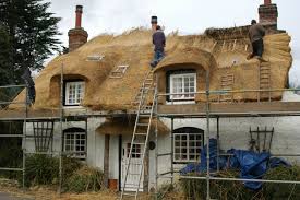 Un Toit De Chaume Le Cottage De Gwladys Cheminee Cottage Toit De Chaume Maison De Campagne
