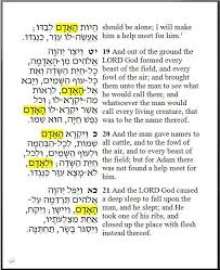 We did not find results for: The Human Ha Adam Man Ish And Woman Ishshah In Genesis 2 Marg Mowczko