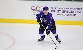 Norris snub for oilers' nurse? Following His Brother S Footsteps Matthew Knies Is Also Thriving From Phoenix To The Ushl