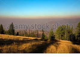 Valley And Mountain Ridge Thick Forest Nature Landscape Aerial Drone View High Above Thick Forests Beautiful Taiga Landscape Wild Pristine Nature Stock Photo Alamy
