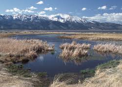 Different Types Of Water Rights