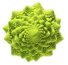 Nature Geometry Fractals In Nature Geometry In Nature Fibonacci In Nature