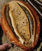 A Gumboot, a Pectoral Girdle & Snotsicles….New Story by John Vonderlin