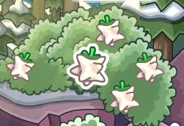 Go to unlock items online just when you are choosing your server. Puffle Wild Pirate Cp Cheats Club Penguin Tips