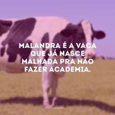 50 Frases Fitness Para Dizer Tchau Ao Sedentarismo Encontre as melhores frases de motivação com lindas imagens para copiar e compartilhar nas redes sociais. 50 frases fitness para dizer tchau ao